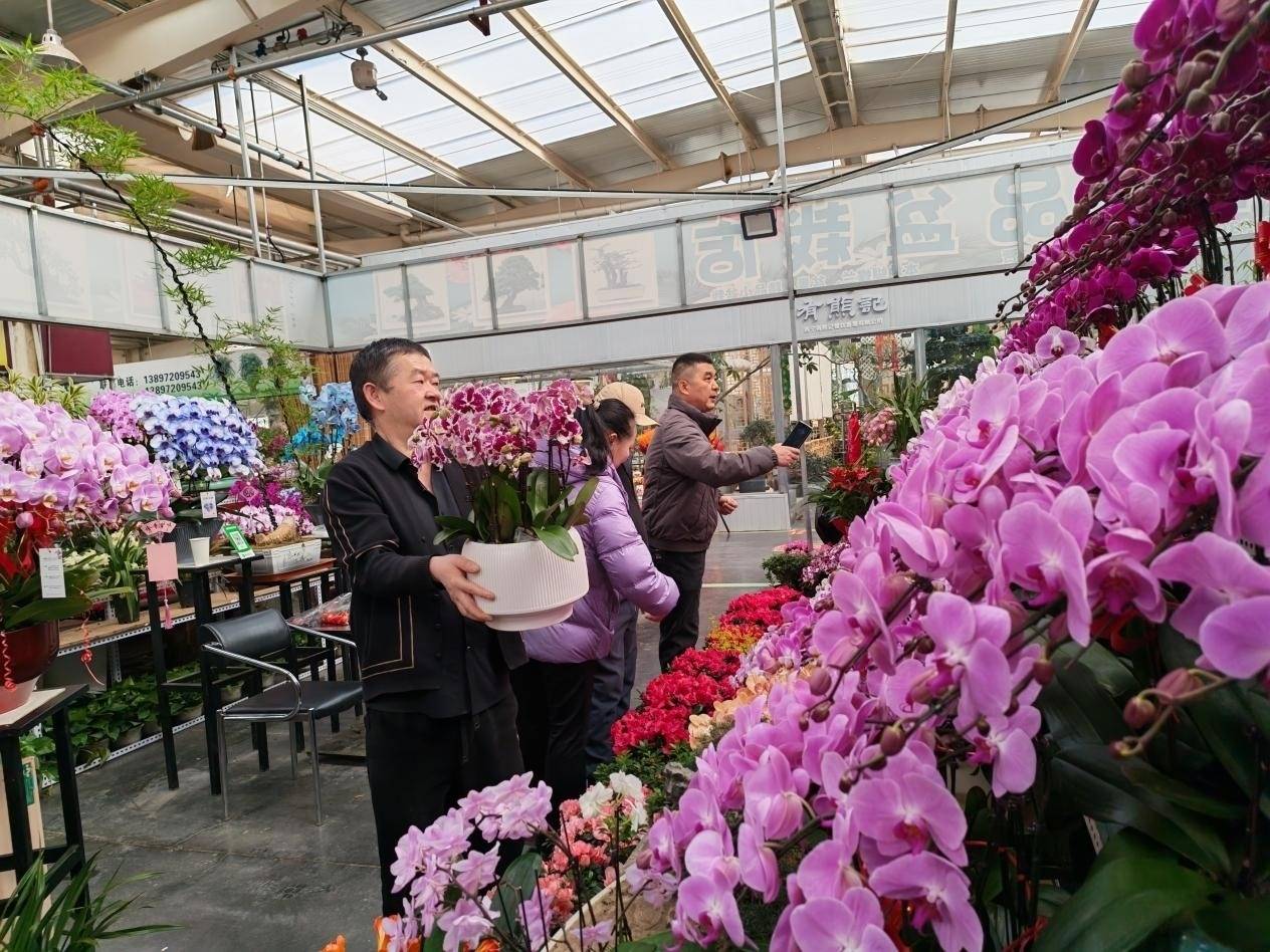 曲：鲜花、推车与吆喝声里的美好生活瓦利棋牌新春走基层｜高原年味三部(图3)